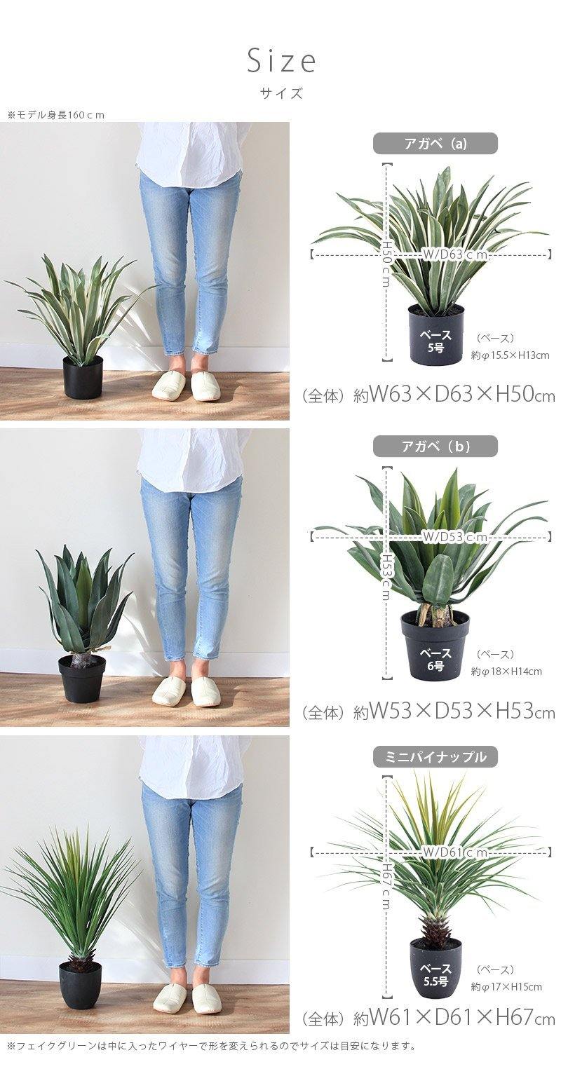 フェイクグリーン トマン