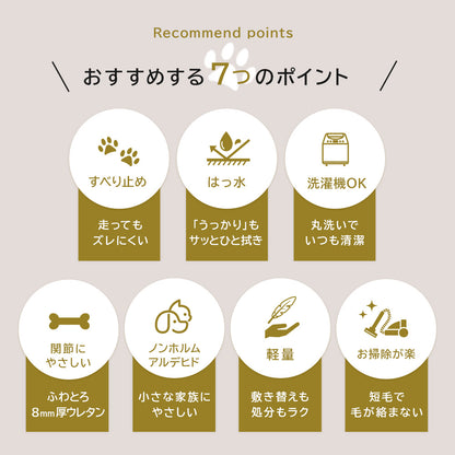 はっ水ペットラグ | 1畳～3畳