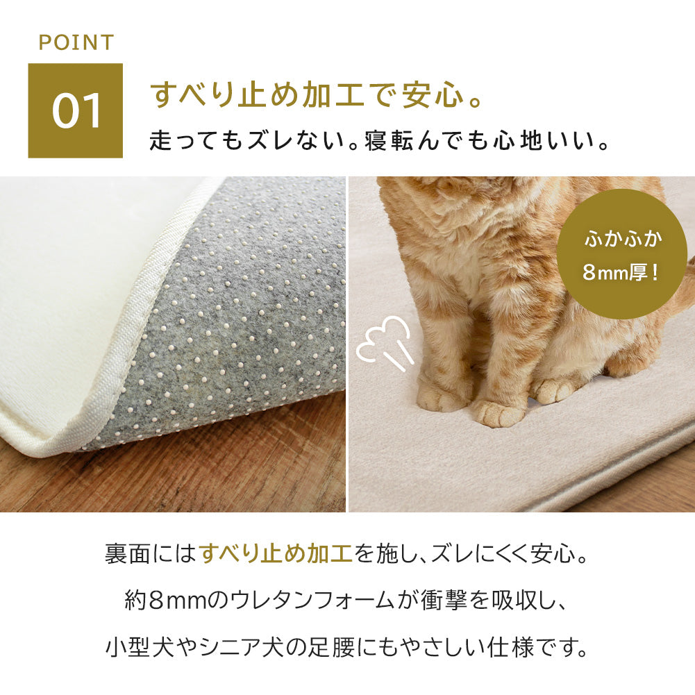 はっ水ペットラグ | 1畳～3畳