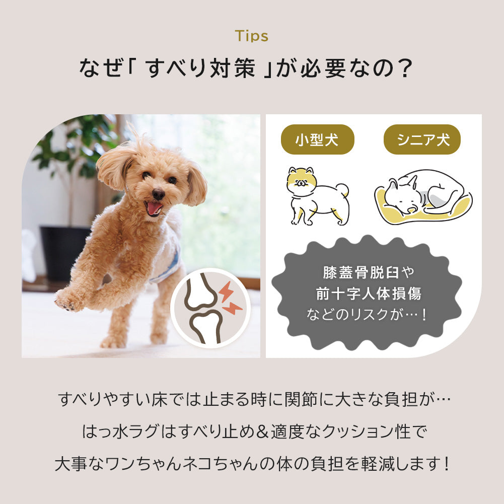 はっ水ペットラグ | 1畳～3畳