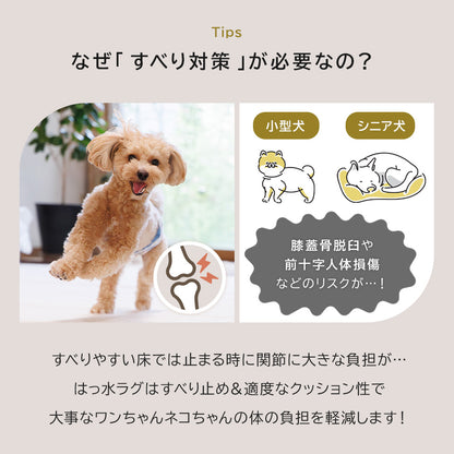 はっ水ペットラグ | 1畳～3畳