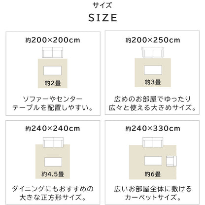 日本製 防炎モケットラグ ノイン 2～6畳