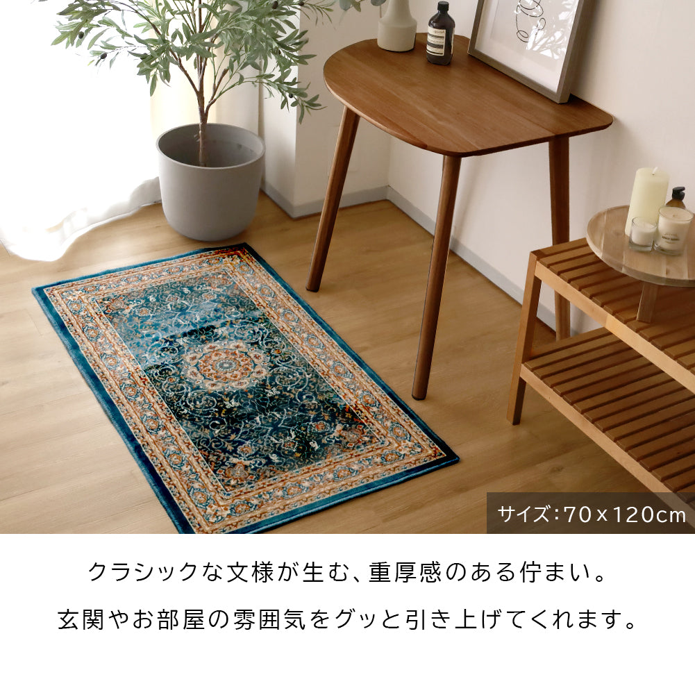 モケット織り 玄関マット ディアナ｜防ダニ 手洗いOK ペルシャ絨毯風