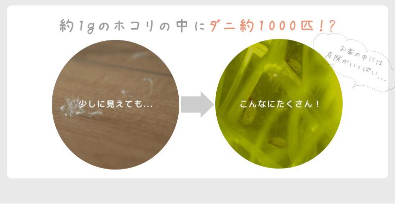 日本製 ダニ取りシート 4枚入り